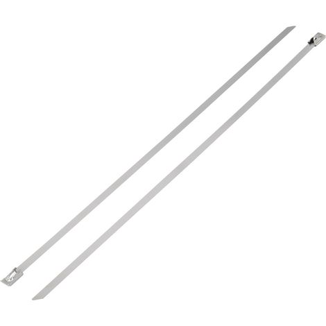TRU COMPONENTS 1592753 TC-BST-300L203 Kabelbinder 300 mm 7.90 mm Silber 1 St.
