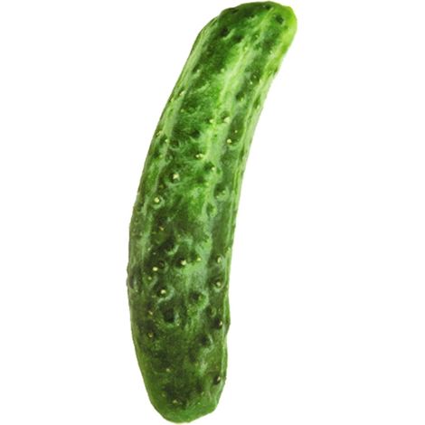 Irovami Jouet en peluche pour chien en toile, simulation de légume à mâcher, jouet couineur (Concombre pour chien en toile) (1/2)
