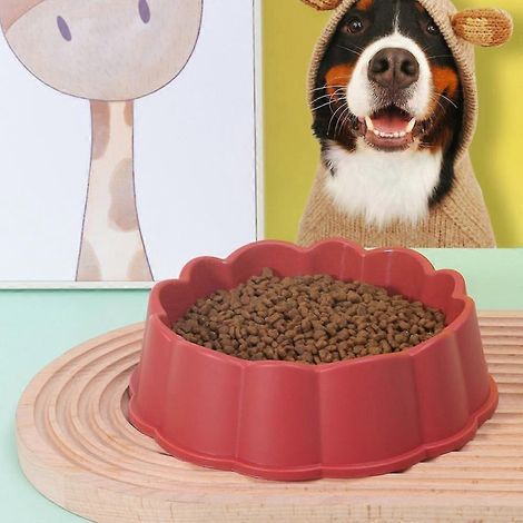 4 cuencos para perros y gatos, cuencos de plástico adecuados para gatos, perros y gatos pequeños.