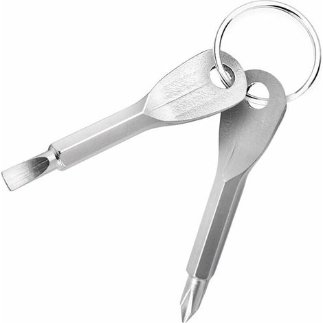 Mini outil de poche multifonctionnel, portable d'urgence en plein air avec porte-clés, tournevis de poche 2 clés (argenté).