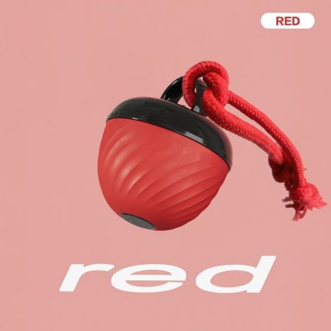 1 balle interactive intelligente pour chien, balle de sport résistante aux morsures, chargement USB, balle mobile avec cordelette et lumière d (1/5)