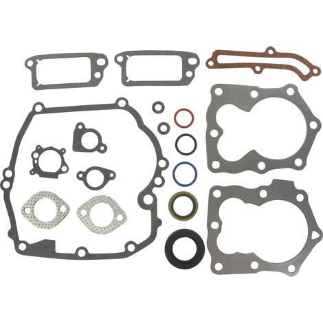 Pochette joints BRIGGS ET STRATTON 590508, 794307