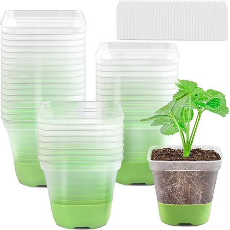 Lot de 12 pots de fleurs carrés en plastique transparents, faciles à transplanter, avec trous de drainage, réutilisables, avec étiquettes pour plantes (1/5)