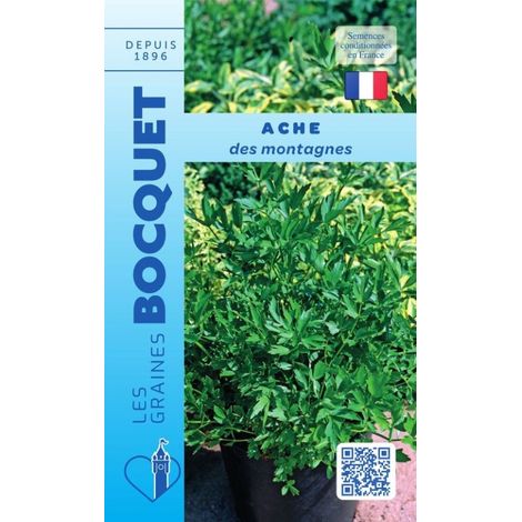 Ache de montagne céleri perpétuel 0,5g – Semis de février à juin – Plante aromatique pour pot-au-feu et potages – Graines Bocquet (1/2)