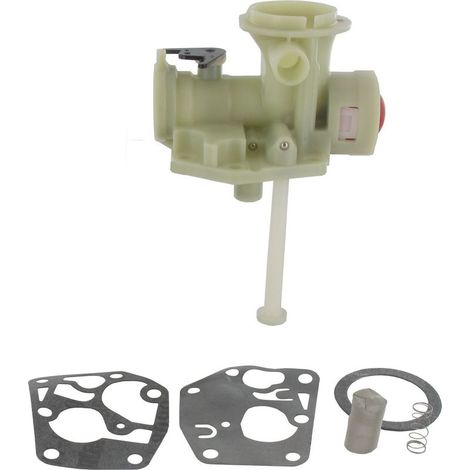 Carburateur adaptable pour moteurs BRIGGS ET STRATTON – Modèles 494407, 494775, 498809, 498811, 794147, 795477, 798758 – Performance optimisée