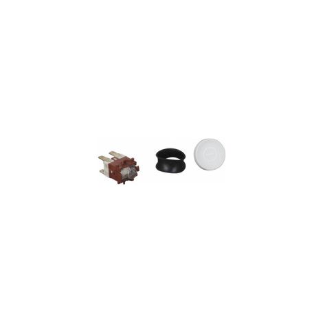 Kit interrupteur - ATLANTIC : 943021