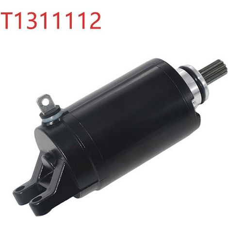 Démarreur moto T1311112 / T1314455 / T1310060 – Compatible avec TRIUMPH Tiger 800 / TRIUMPH 675/675R (1/5)