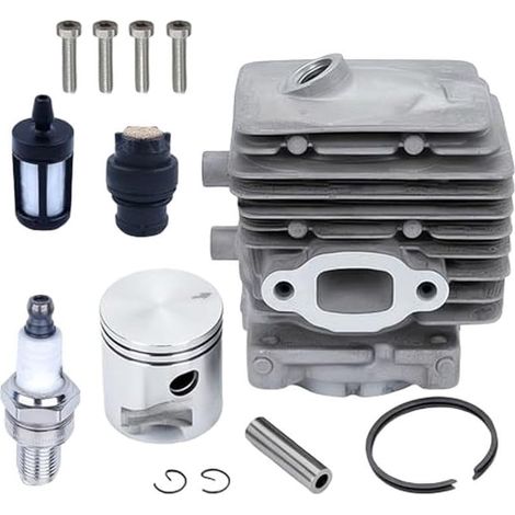 Kit Remplacement Moteur Pour Souffleur pour feuilles BG86 Kit