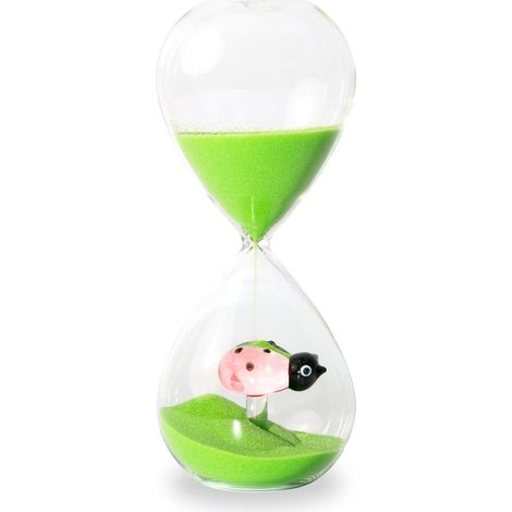 WD LifeStyle Clessidra in Vetro Borosilicato con Decoro interno Coccinella Verde Rosa