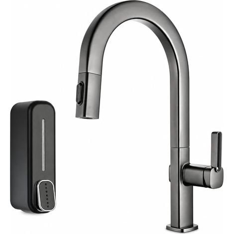 IMEX - Mitigeur de cuisine extractible 2 fonctions Canadá, Black Gun Metal (1/5)