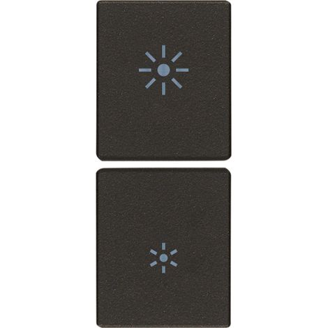 VIMAR - 31480.RG Zwei Halbtasten, 1M Dimmer, schwarz