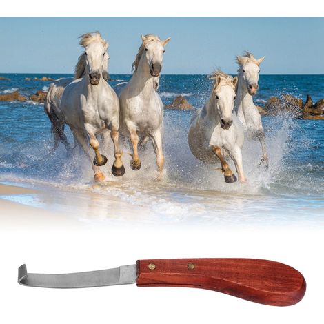 Couteau à Sabot de Cheval Professionnel - Modèle Lame Courbée Acier Inoxydable, Manche Bois Ergonomique, pour Taille Régulière et Maréchalerie (22.5cm) (1/5)