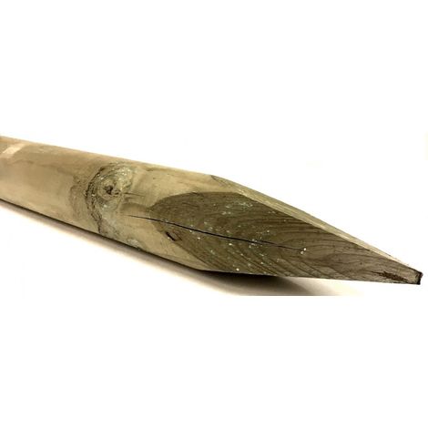Pali in legno impregnato con punta 20 pezzi diametro 4 cm lunghezza 150 cm per recinzioni giardino - Esterni da Vivere (1/2)
