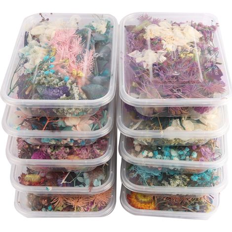 Bouquet de fleurs séchées naturelles, kit créatif DIY, décoration artisanale, lot de fleurs préservées pour loisirs créatifs, QttvbTna (1/5)
