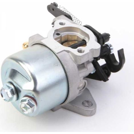 Carburateur pour moteur Briggs & Stratton 591852 (1/5)