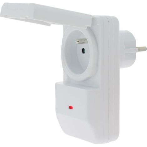 Prise Électrique Extérieure avec Télécommande IP44 - Pack Prise Connectée Jardin 3600W Portée 30m (1/2)