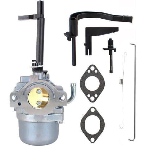 Carburateur 698305 793778 796321 8550 6200 5000 5550 10HP générateur (1/5)