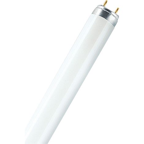 Osram LUMILUX T8 - Lampe fluorescente, G13L 36 W/840-1 (1/3)