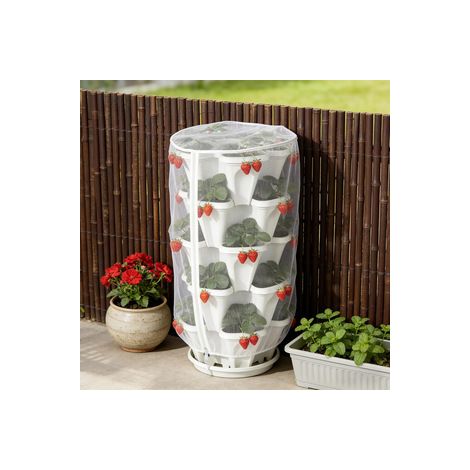 Filet anti-insectes 60 mailles à zip et cordon coulissant pour légumes, housse de protection pour plantes, Composition : 40 × 60 cm, Couleur : transparent (1/5)