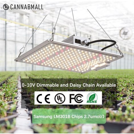 Lampe de Culture LED 100W Spectre Complet – Éclairage Plantes Intérieur Haute Intensité PPFD, Intensité Réglable, Étanche IP65, Pour Semis, Légumes et Floraison (1/5)
