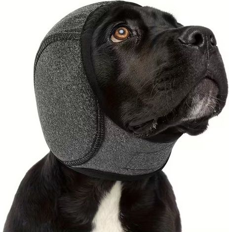 Protection auditive réglable grise – Taille S – Casque antibruit pour animaux et environnements sensibles (1/5)