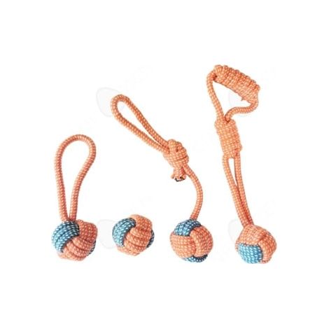 Ensemble de 4 jouets pour animaux de compagnie : corde de nettoyage des dents résistante aux morsures