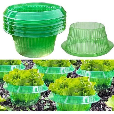 6 collari anti-lumache e chiocciole – Protezione naturale per piante, senza prodotti chimici, ideale per orto e giardino (confezione da 6) (1/5)