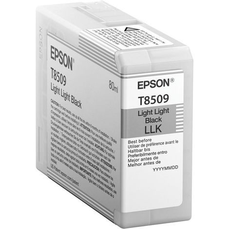 Epson T850900 cartuccia d'inchiostro 1 pz Originale Nero light light (1/2)