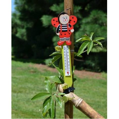 Thermomètre en bois coccinelle (1/2)
