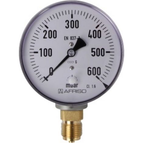 Manomètre à ressort avec capsule, gaz 0 - 600 mbar
