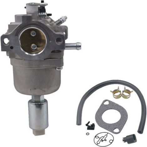 Carburateur pour Moteurs Briggs & Stratton 287707 287776 287777 310707 310777 698620 690194 791886 799727 496796 499153 695412 792768 Remplacement du carburateur