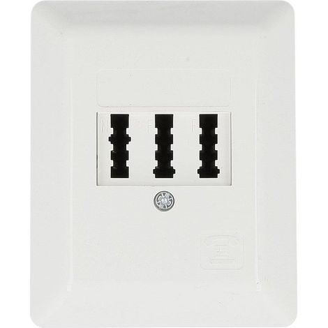 Rutenbeck Boîte de raccordement TAE réseau analogique TAE 2x6/6 NFF blanc pur