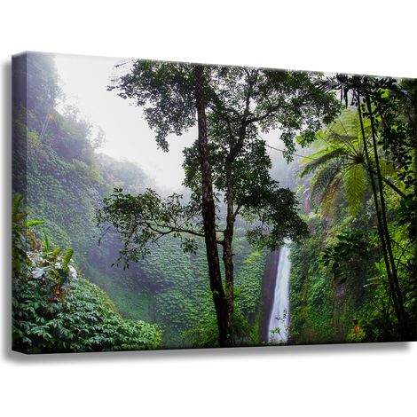 Leinwanddruck Natur Tropischer Wald 60x40 cm