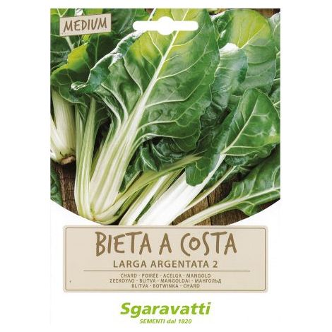 SEMI PER ORTAGGI E VEGETALI bieta verde costa larga argentata 10 PZ