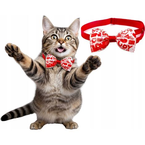 Nœud papillon pour animaux de compagnie (chien, chat) avec motif romantique pour la Saint-Valentin (1/3)