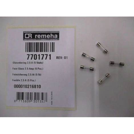 Remeha Fusibile in vetro 2,5 Amp (5x), 7701771