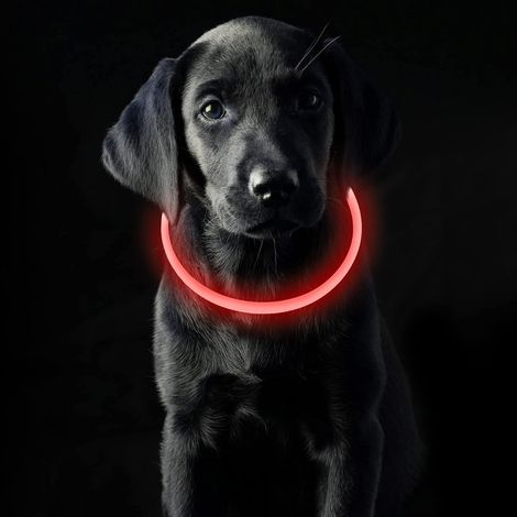 Verstellbares, 70 cm langes, per USB aufladbares, wasserdichtes Leuchthalsband mit 3 Modi (Rotlicht), geeignet für kleine, mittlere und große Hunde und Katzen (1/5)