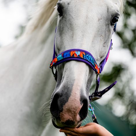 Halter galop wear - Power Flower full (1/4)