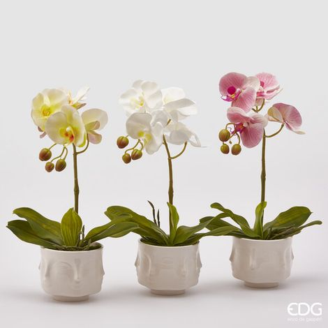 EDG Enzo De Gasperi Orchidea Artificiale H 40 Cm Ass. Bianca o Gialla o Fuxia 1 Pz