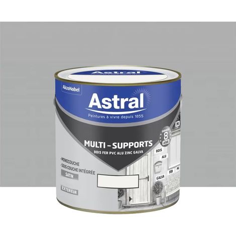 Peinture multi-supports extérieur ASTRAL Gris Franc 0,5 L (1/2)