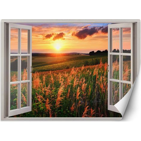 Carta Da Parati, Finestra - Vista del tramonto su un prato - 140x100 (1/5)