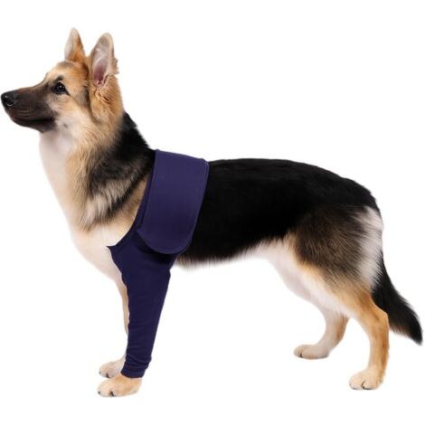 BUNTHAUS Manchon Anti-léchage pour Chien avec Autocollants Magiques pour la Récupération des Blessures Chien Blessé et Endommagé XL Jean Bleu (1/5)