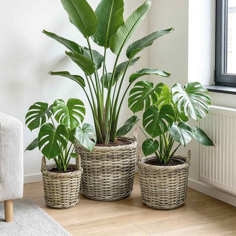 vidaXL Panier à plantes GENDT 3 pièces Gris naturel Rattan Kubu (1/5)