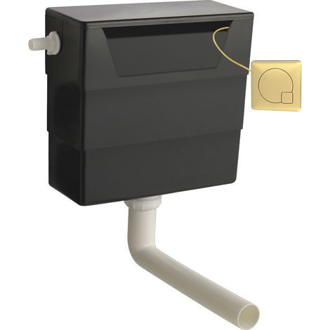 Nuie Front and Top Access Concealed Toilet Dual Flush Cistern with Brushed Brass Flush Plate (1/5)