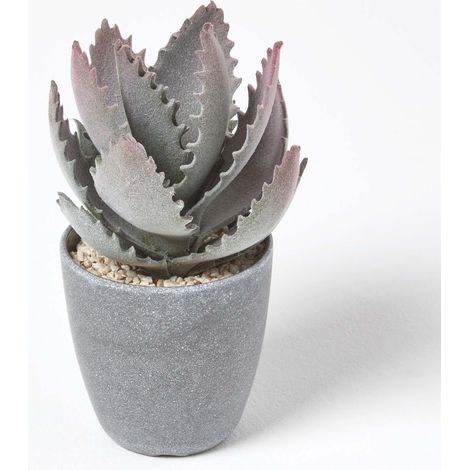 HOMESCAPES Klein Künstliche Echte Aloe Vera in Melamin Topf, 21 cm hoch (1/5)