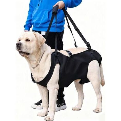 Hunde-Hebegeschirr/Transportgeschirr, Hunde-Hebegeschirr, Hunde-Hebegeschirr, Hinterbein-Sicherheitsstütze, für ältere Hunde, Gelenkverletzungen, Arthritis (M) (1/5)