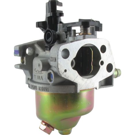 Carburateur MTD 751-10309