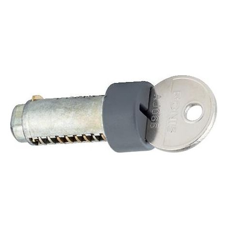 Cylindre de rechange pour serrure à paillettes Omega 100 zamak livré avec 2 clés - RONIS