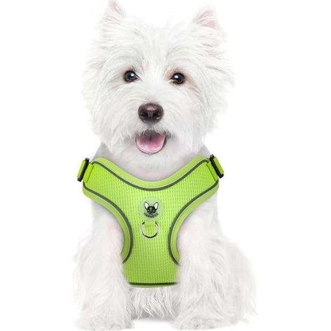 Hundegeschirr mit Leine zum Spazierengehen, reflektierend, verstellbar, weich, Größe L, Grün