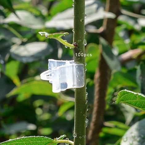 100 clips de support pour plantes, clips de greffage pour légumes et arbres fruitiers, outils de jardinage (1/5)